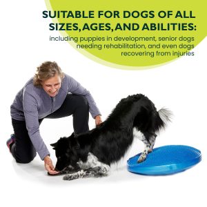 REVILIAX Dog Balance Disc