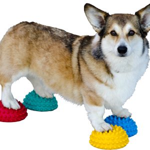 RELIVIAX Paw Pods for Dog Agility